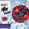 Eleve11fit mix sans sucre saveur fruits de la forêt