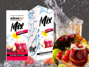 Eleve11fit MIX MIX SAVEUR SANGRIA SANS SUCRE