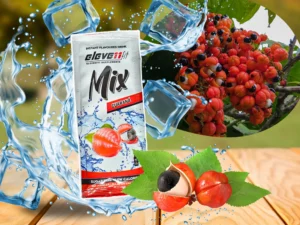 Eleve11fit MIX SAVEUR GUARANA SANS SUCRE